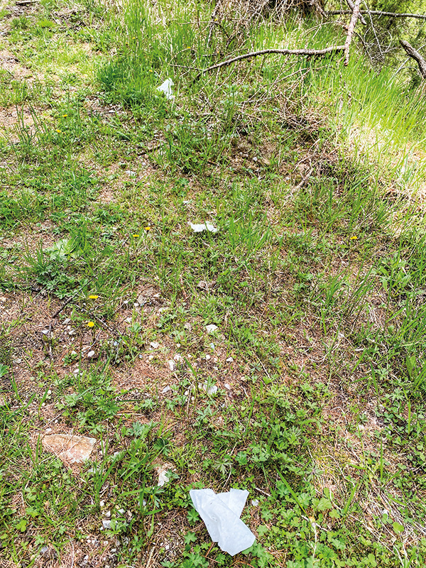 s12 Unknown