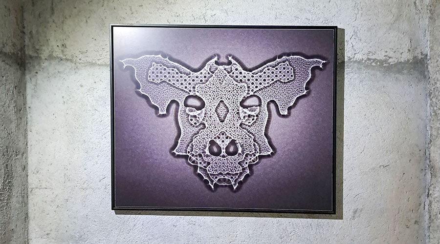 Fotoarbeiten von Michael Fliri (Foto Archiv Fliri)