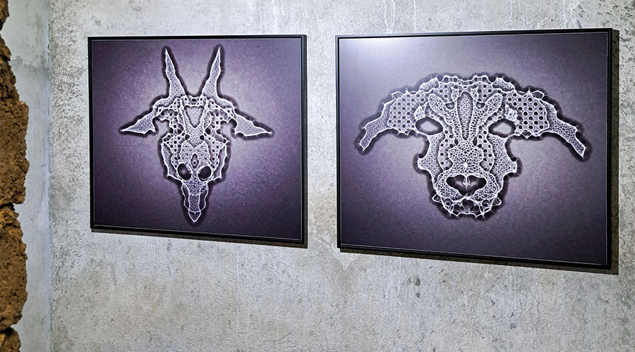 Fotoarbeiten von Michael Fliri (Foto Archiv Fliri)