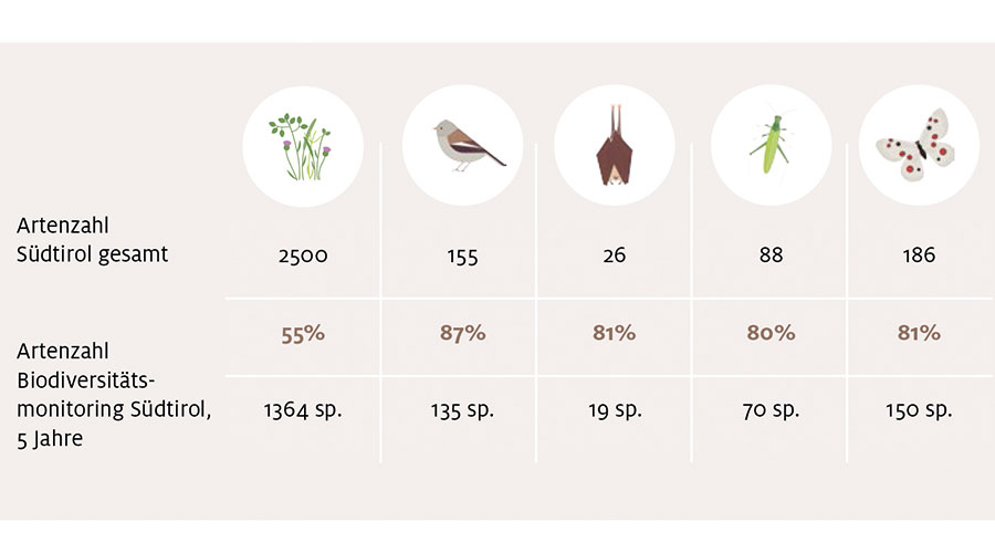 Biodiversitätsmonitoring abb1