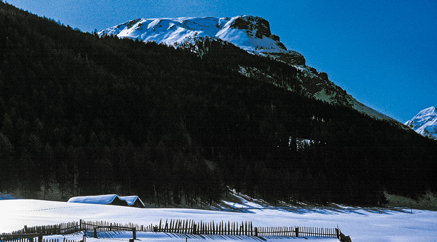 Winter in Perwarg. Blick aus dem Stubenfenster iibr s’Miihlhiasa gortn unt t’Olt Wolch auf den Rieglwald und den „Hausberg“ des Jaggl. Aufnahme: 28. 2. 1975.