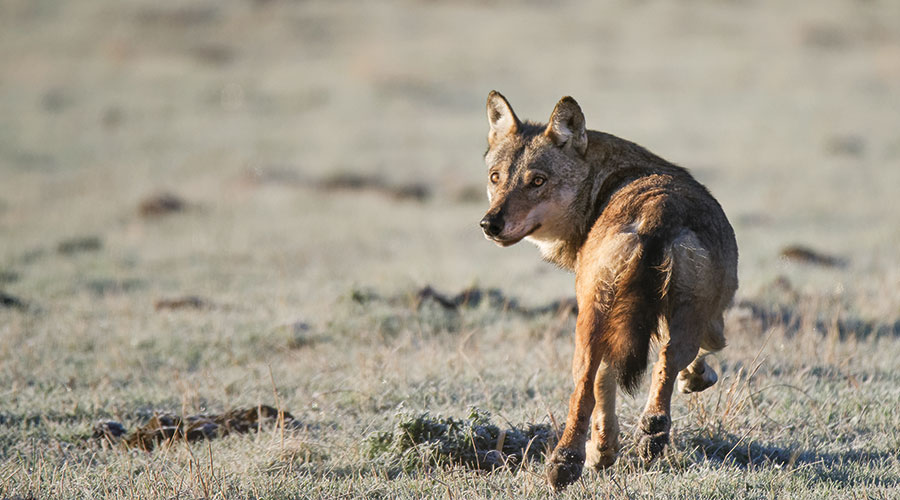 Foto: Matteo Riccardo Di Nicola