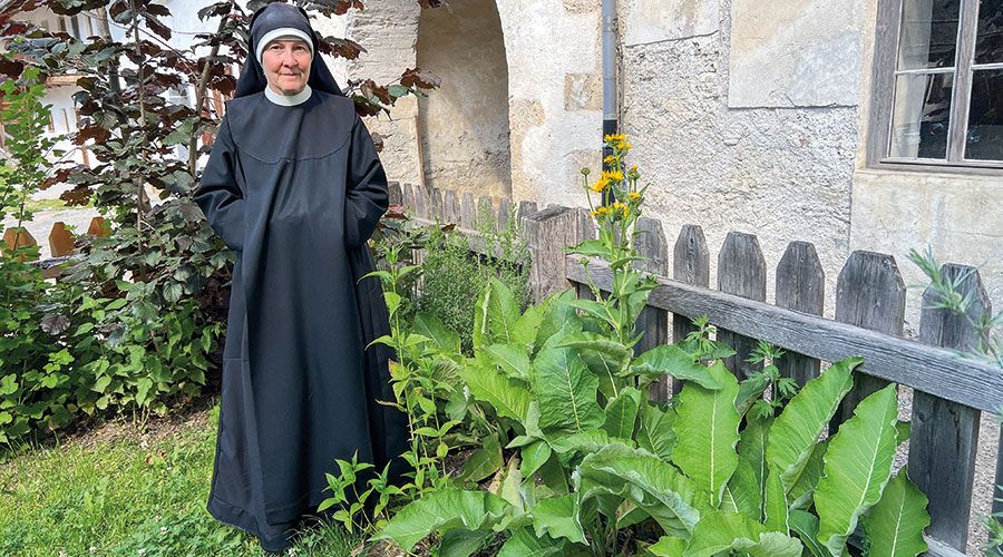 Sr. M. Lutgarde gibt einen Einblick in die Kräuterarbeit