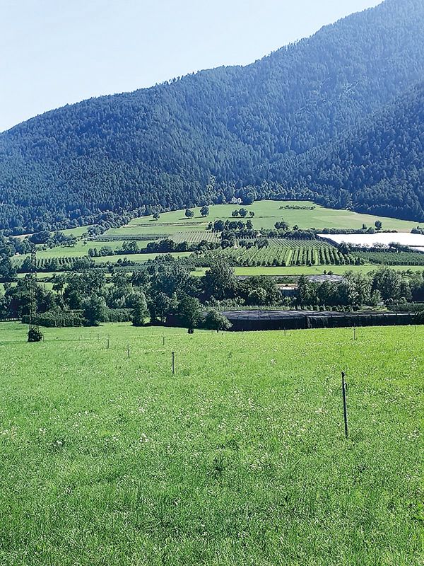 Mit einem enormen Gefälle (Fallhöhe 1.135 m) ist die Anlage von Naturns (230 Megawatt installierte Leistung) das größte Hochdruckwasserkraftwerk in Südtirol.