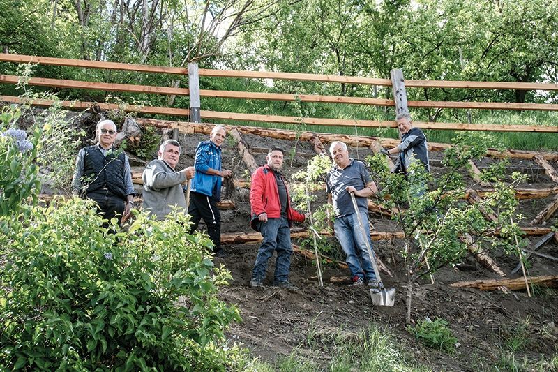 Imker bepfanzen den befestigten Hang unter dem Quairwaal mit tiefwurzelnden und bienenfreundlichen Pflanzen