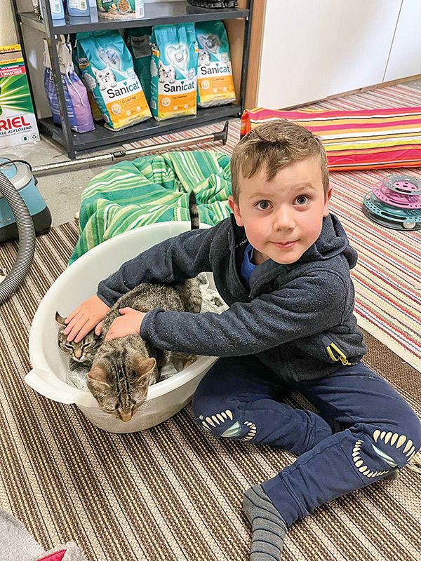 Der 5-jährige Timon Eberhöfer mit Carli und Fibi, die beide aufgepäppelt wurden und ein neues Zuhause suchen