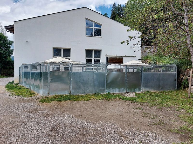 Das Tierheim in  St. Walburg in Ulten,  geführt vom Verein „Tierheim Naturns“  Dringend gesucht wird ein neuer Standort im Vinschgau