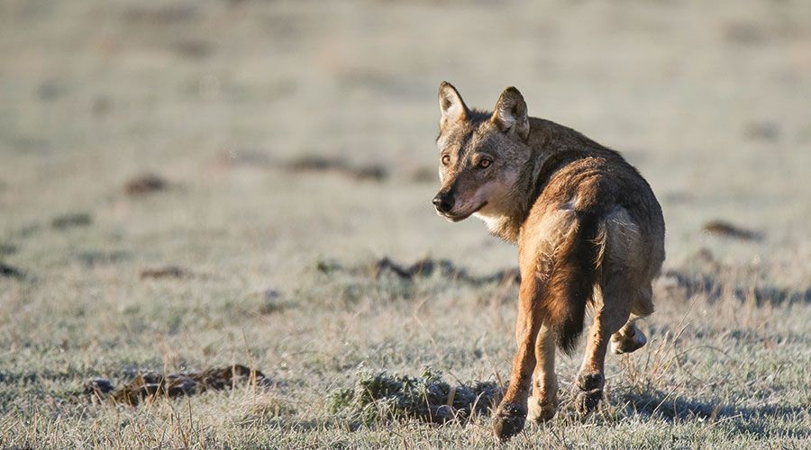 Foto: Matteo Riccardo Di Nicola