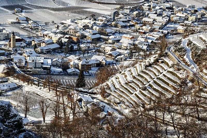 Wie Stiegen zum Himmel prägen die Steiln, diese alten Terrassenfelder aus Trockenmauern, das Landschaftsbild am Sonnenberg rund um Schlanders. Es sind Zeugnisse einer alten Bautechnik, aber auch vom Einsatz und Fleiß unserer Vorfahren. (Fotos:  Gianni Bodini)