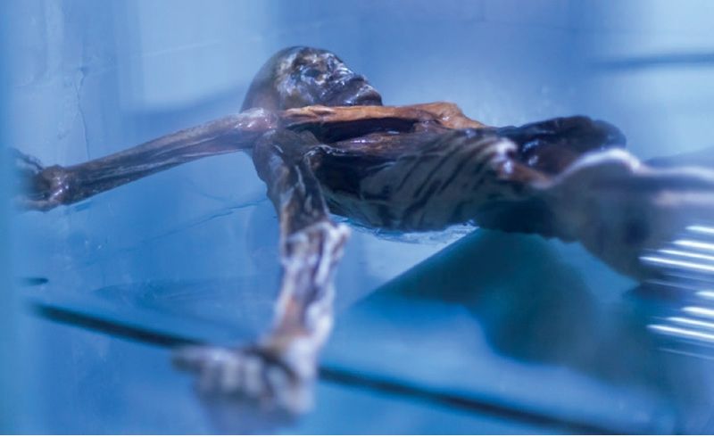 Fenster in die Steinzeit, Ötzi Superstar
