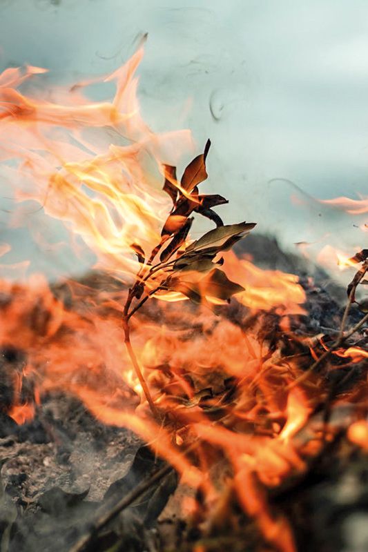  Wegen der anhaltenden Trockenheit herrscht derzeit in Südtirol erhöhtes Waldbrandrisiko. Kleine Unachtsamkeiten können schwerwiegende Folgen nach sich ziehen. 