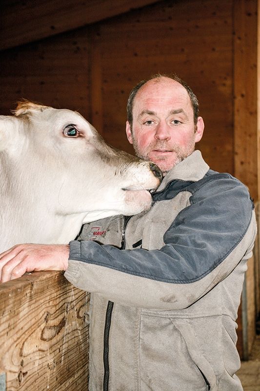 Alfred Pobitzer aus Schleis, Vizeobmann der „Bergmilch Südtirol“